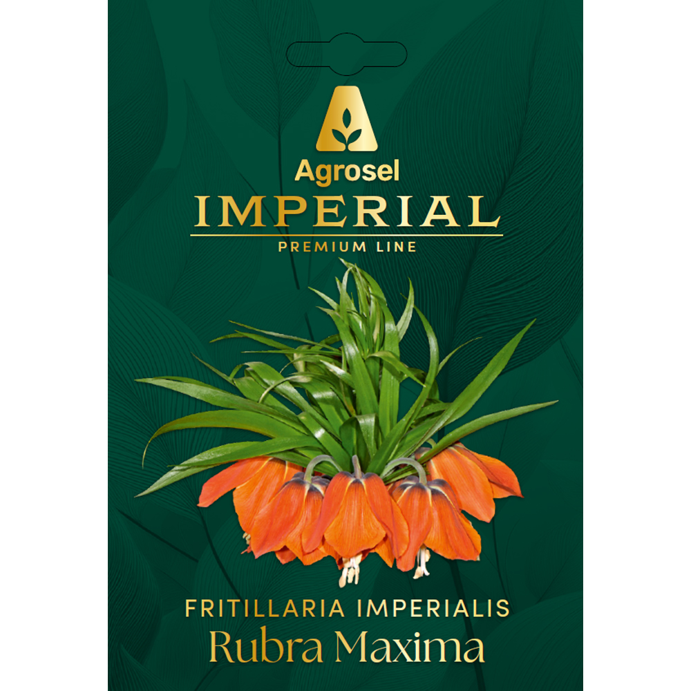 Bulb fritillaria Rubra Maxima IMPERIAL, 1 bucata