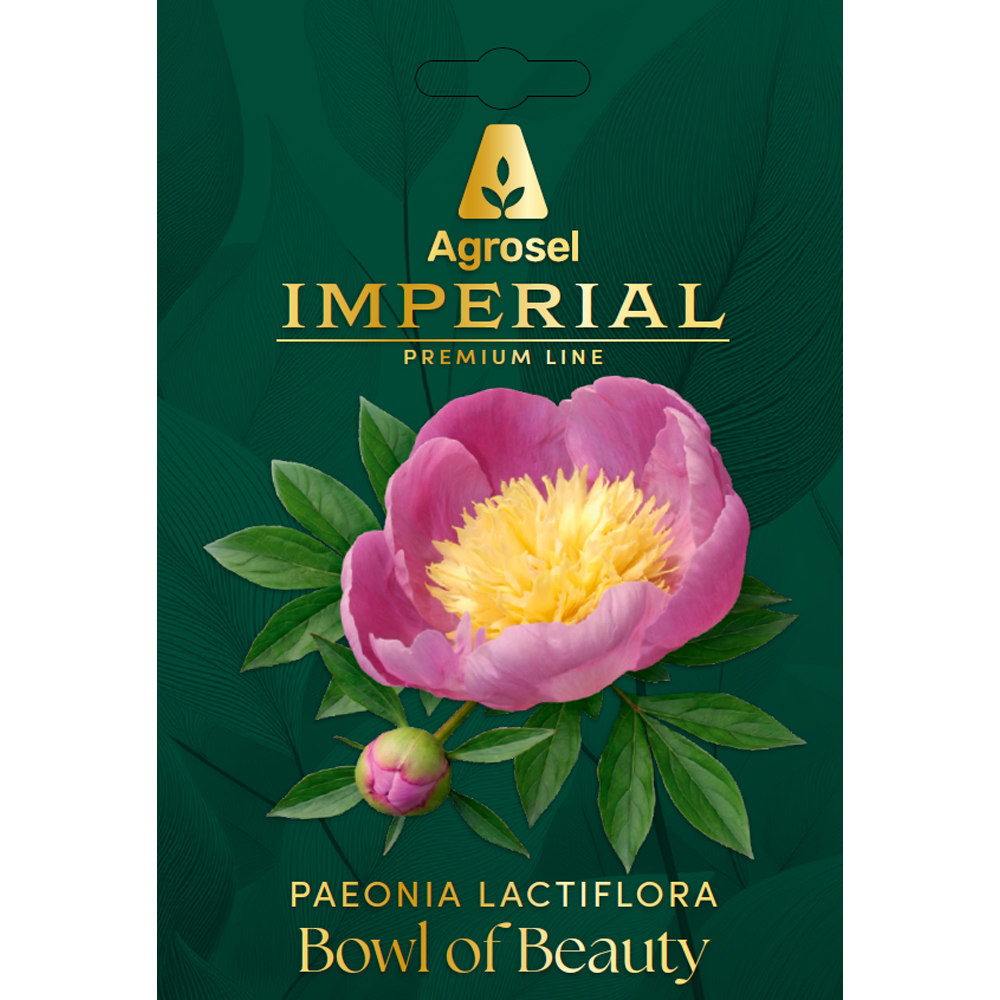 Bulb bujor Bowl of Beauty IMPERIAL, 1 bucata