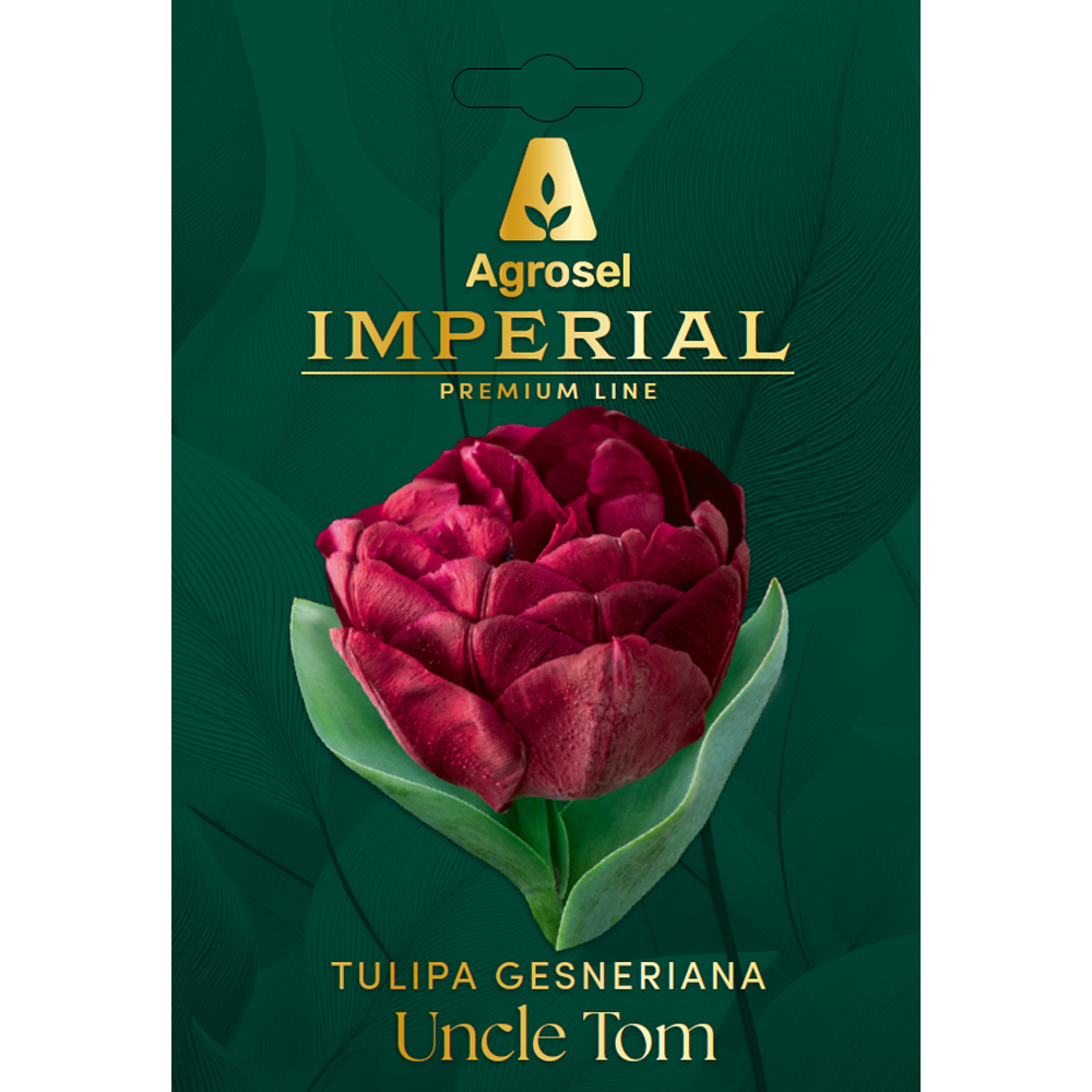 Bulbi lalea Uncle Tom IMPERIAL, 5 bucati