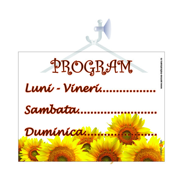 Indicator Program De Lucru  Creative Sign