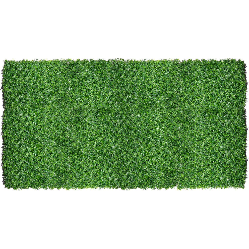 Imitatie gard viu, 1.7x10 m