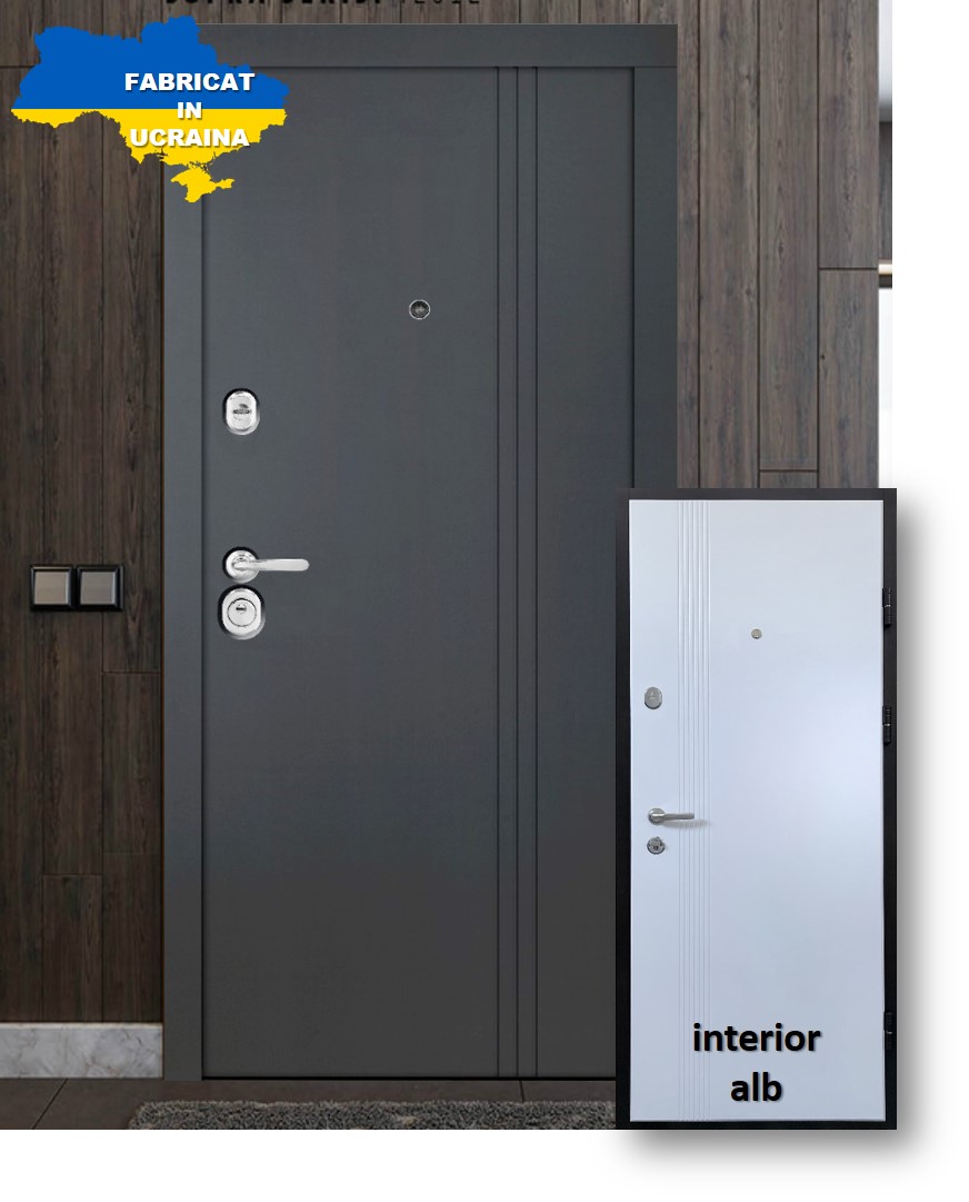 Usa de intrare pentru apartament BELLA CASA M781, fara geam, dreapta, metal, 89 x 202 cm, antracit