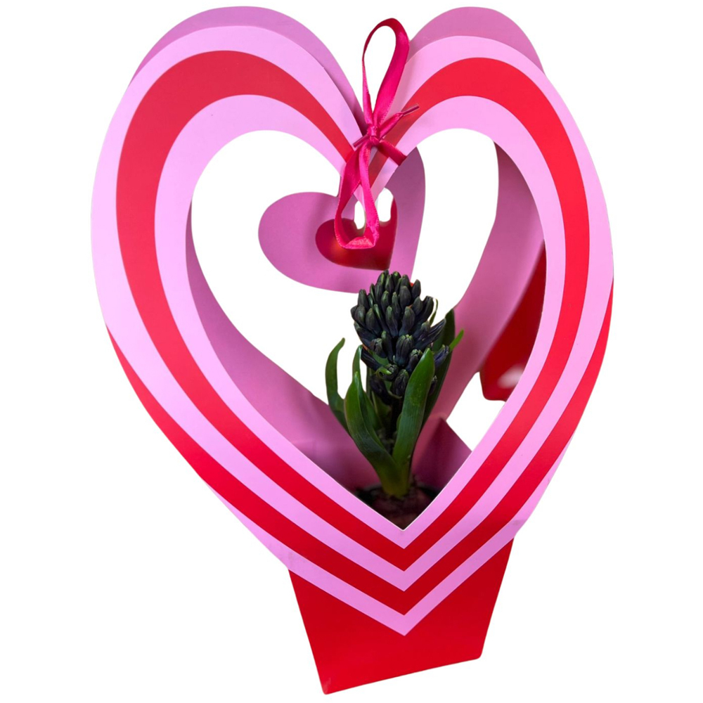 Hyacinthus D1CM punga colectia Bag Express Love, D 11cm