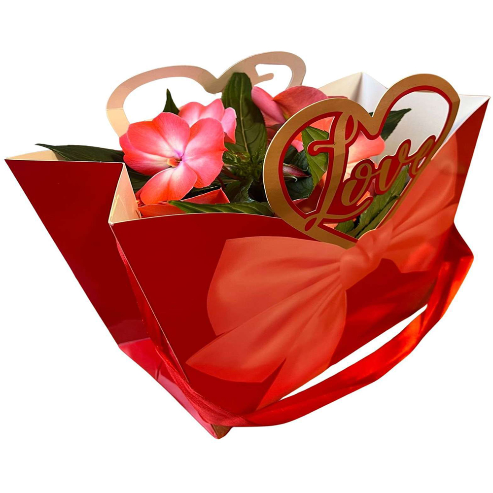Impatiens punga colectia Luxury Love, D 11cm