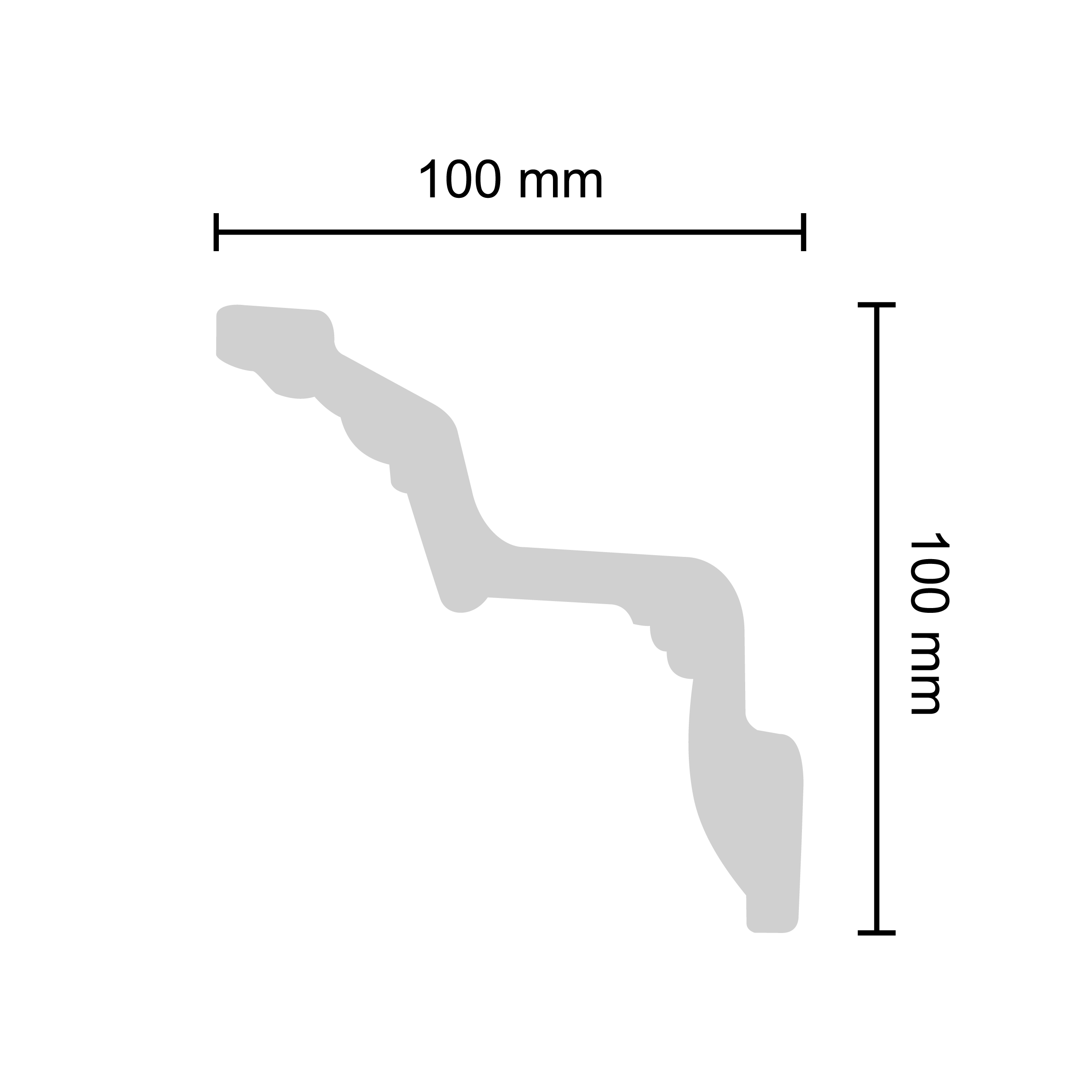 Bagheta decorativa DECOSA Eps Dp119 G33, 10 x 200 cm, 40 mm