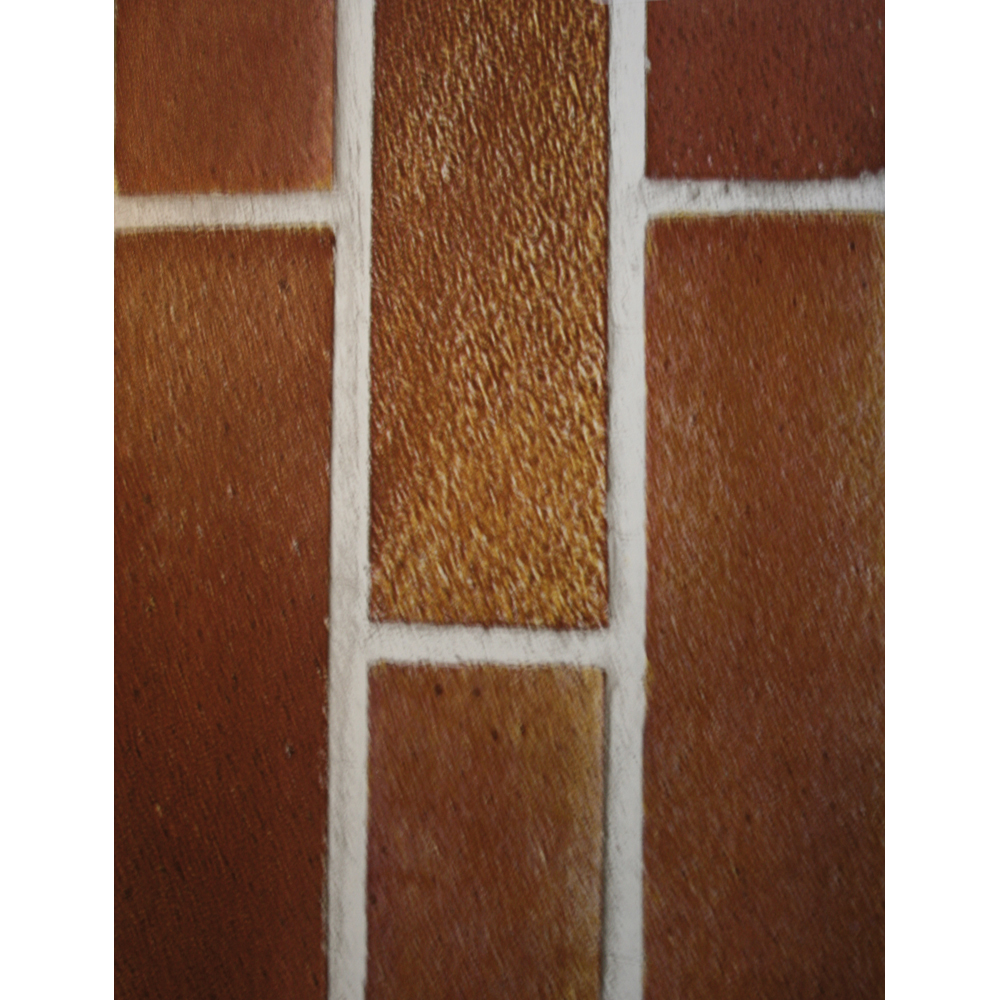 Autocolant PVC, 45 x 100 cm, rosu