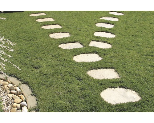 Dala beton gradina Bradstone, 56 x 42 x 3.7 cm, bej