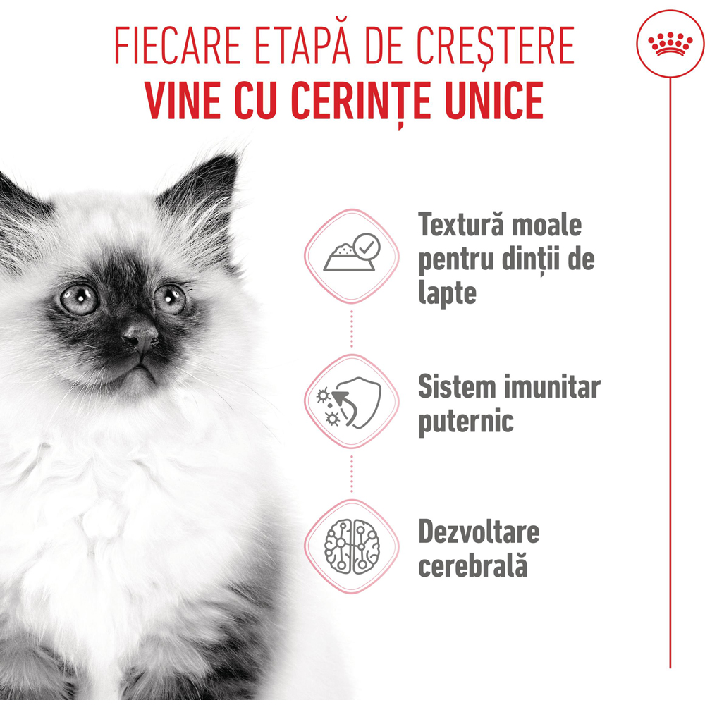 Hrana umeda pentru pisici ROYAL CANIN FHN Kitten Gravy, Junior, 85 g