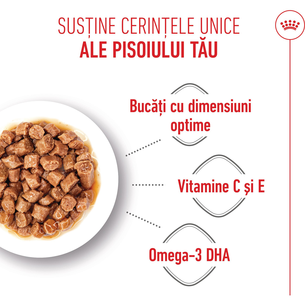 Hrana umeda pentru pisici ROYAL CANIN FHN Kitten Gravy, Junior, 85 g