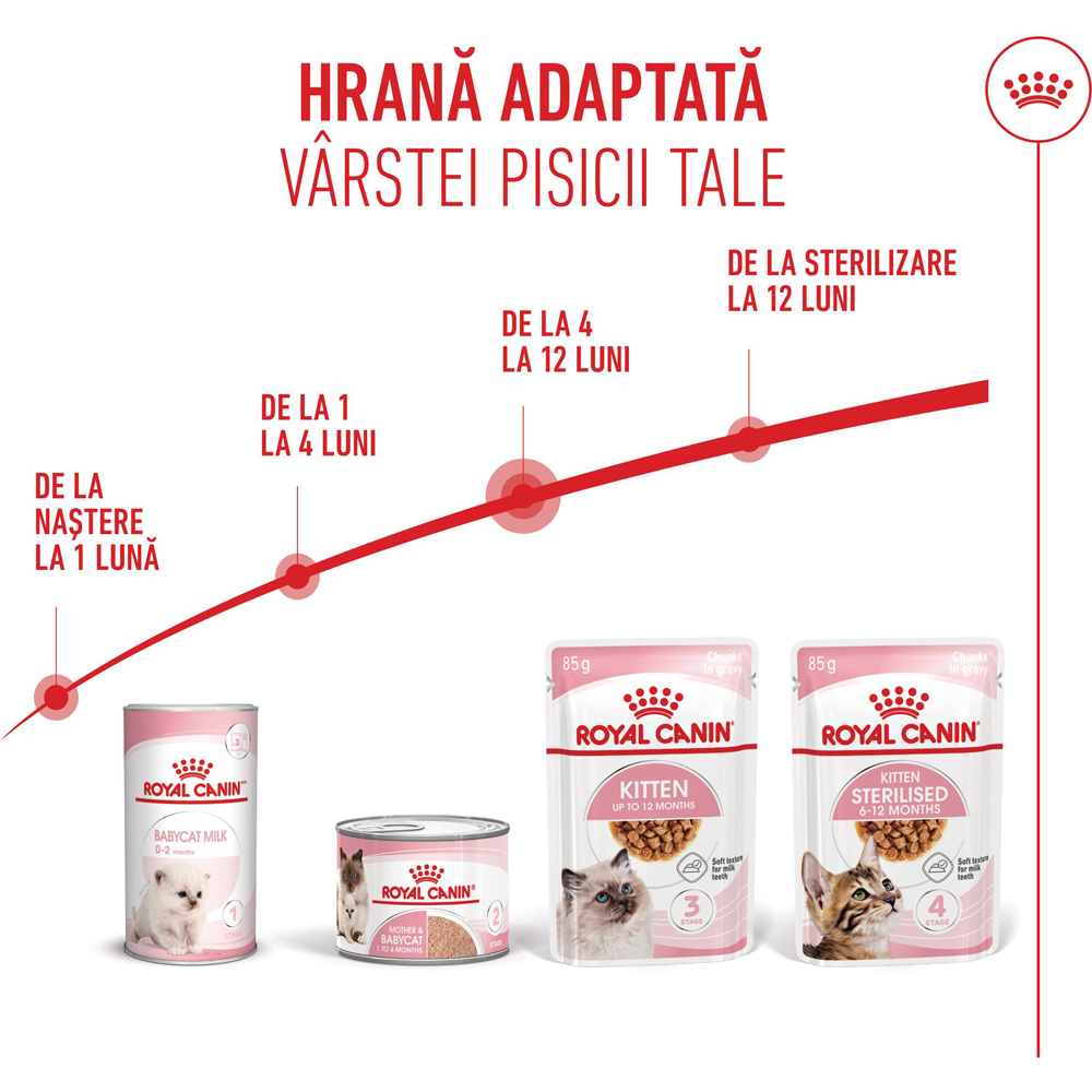 Hrana umeda pentru pisici ROYAL CANIN FHN Kitten Gravy, Junior, 85 g