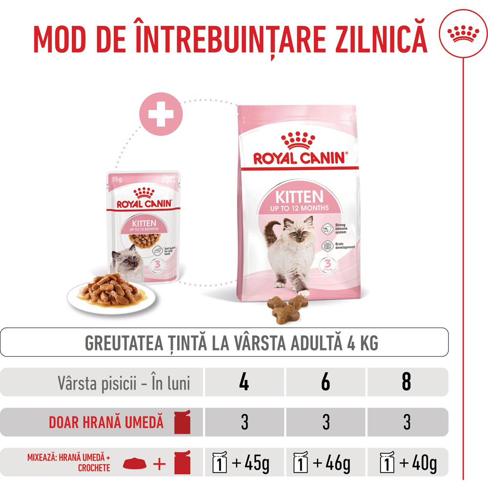 Hrana umeda pentru pisici ROYAL CANIN FHN Kitten Gravy, Junior, 85 g