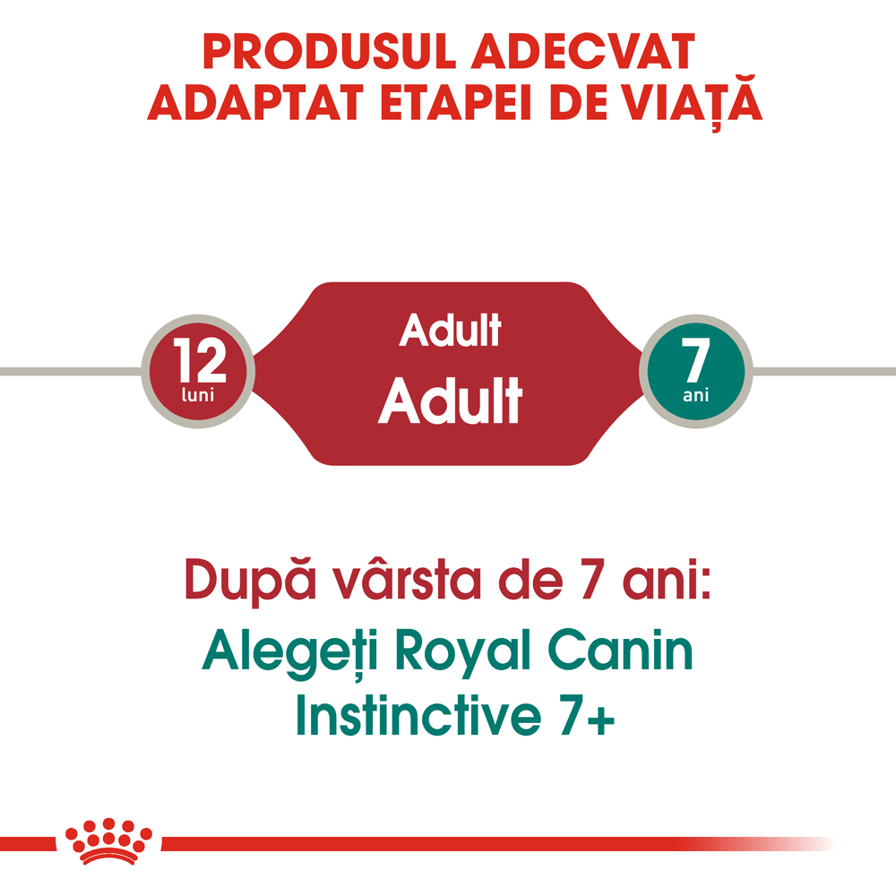 Hrana umeda pentru pisici ROYAL CANIN FHN Instinctive Gravy, Adult, Peste in sos, 85 g