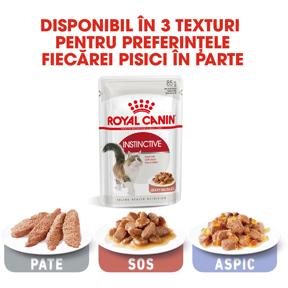 Hrana umeda pentru pisici ROYAL CANIN FHN Instinctive Gravy, Adult, Peste in sos, 85 g