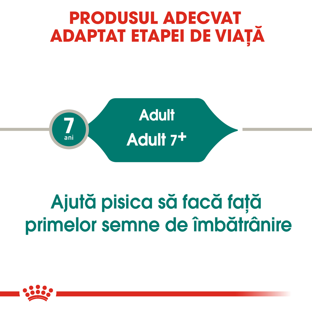 Hrana umeda pentru pisici ROYAL CANIN FHN Instinctive 7+ Gravy, Senior, 85 g