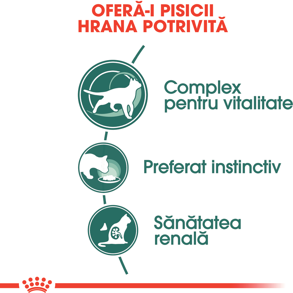 Hrana umeda pentru pisici ROYAL CANIN FHN Instinctive 7+ Gravy, Senior, 85 g