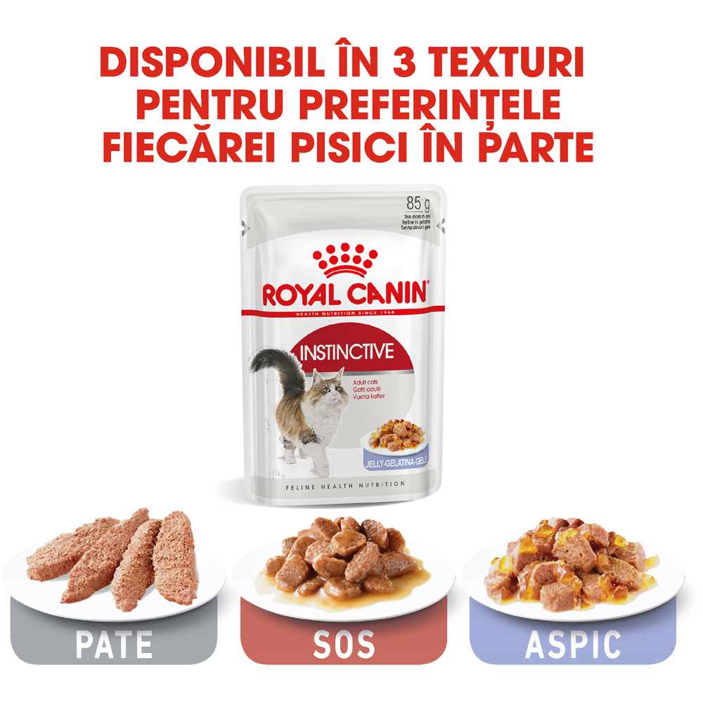 Hrana umeda pentru pisici ROYAL CANIN FHN Instinctive Jelly, Adult, 85 g