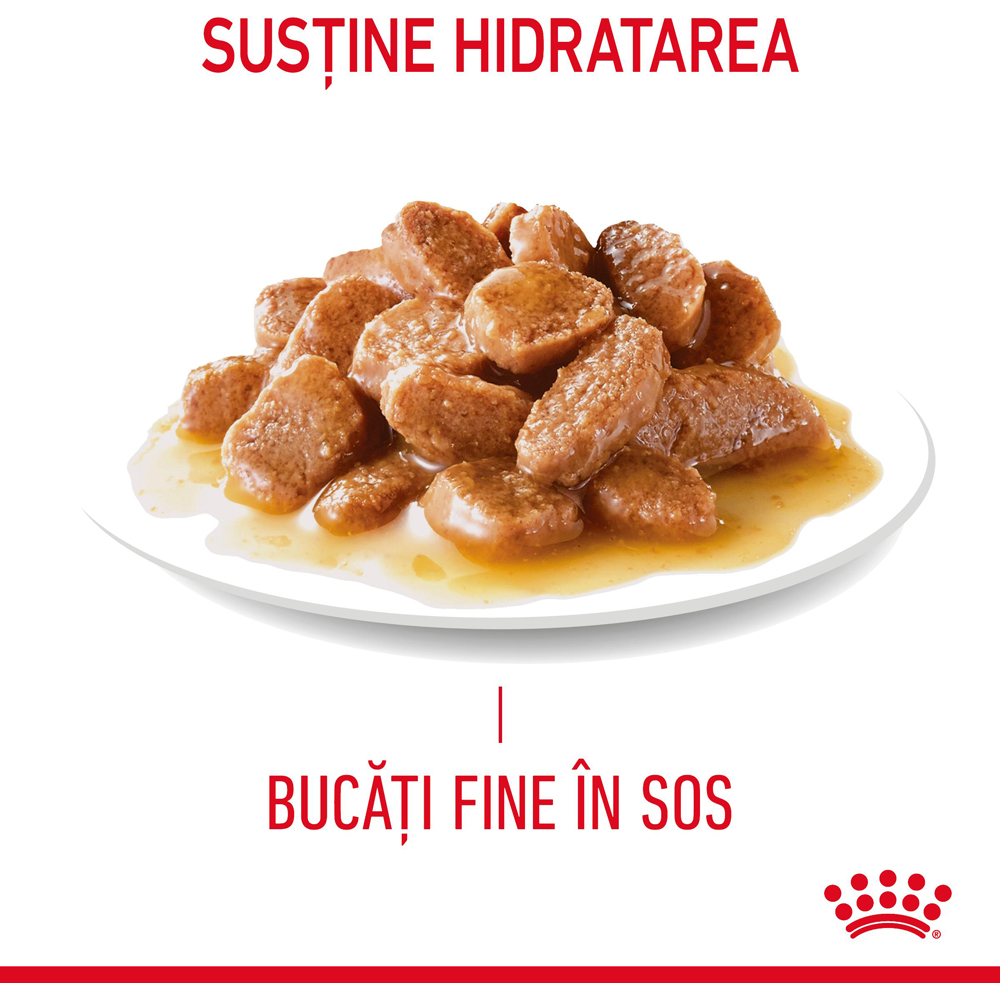 Hrana umeda pentru pisici ROYAL CANIN FCN Digestive Care Gravy, Adult, 85 g