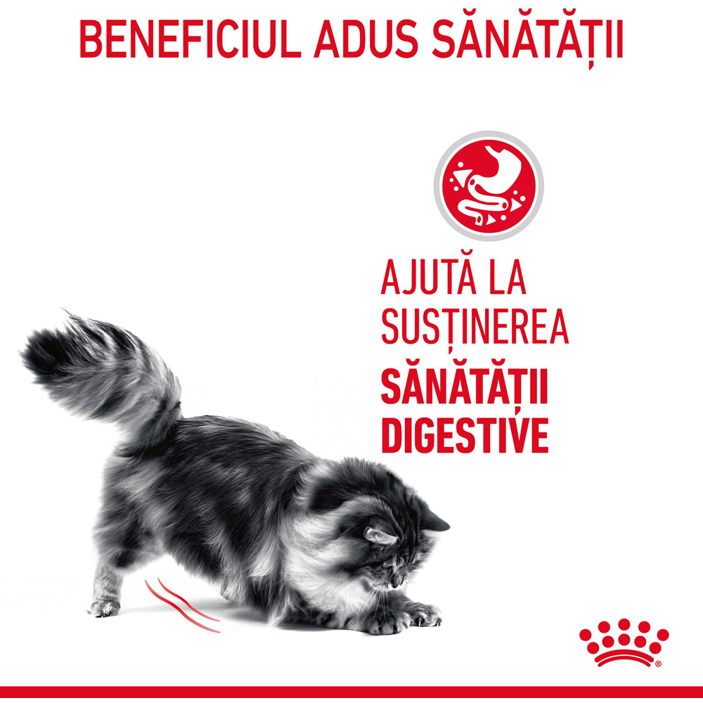 Hrana umeda pentru pisici ROYAL CANIN FCN Digestive Care Gravy, Adult, 85 g