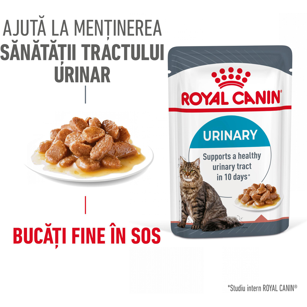 Hrana umeda pentru pisici ROYAL CANIN FCN Urinary Care Gravy, Adult, 85 g
