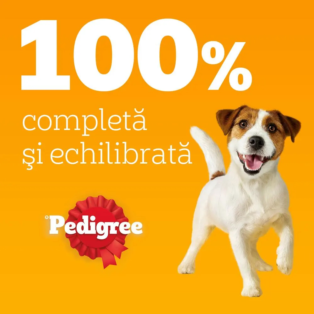 Hrana umeda pentru caini PEDIGREE, Adulti, Mix in aspic, 4 x 100 g