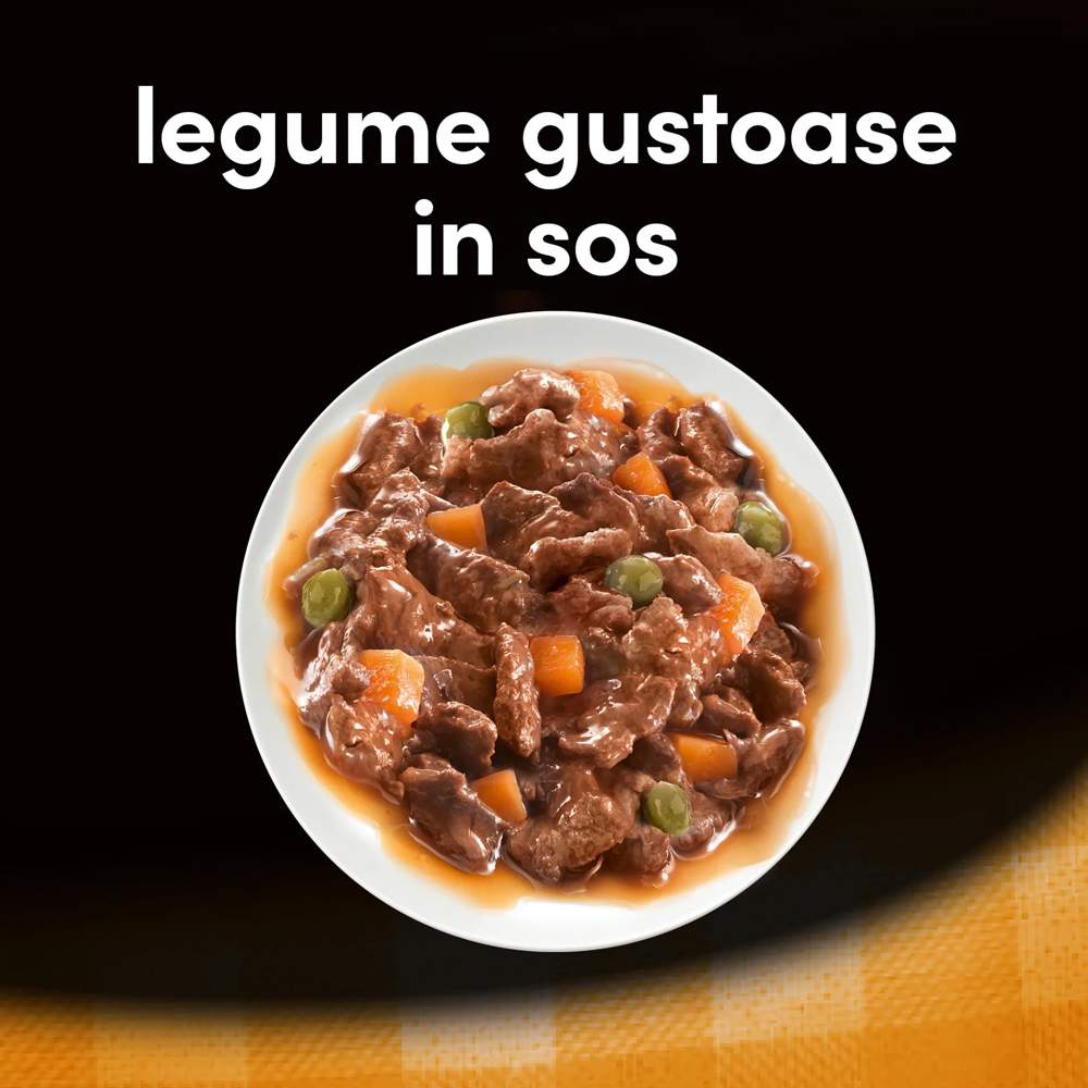 Hrana umeda pentru caini CESAR, Adult, Pui si legume in sos, 100 g