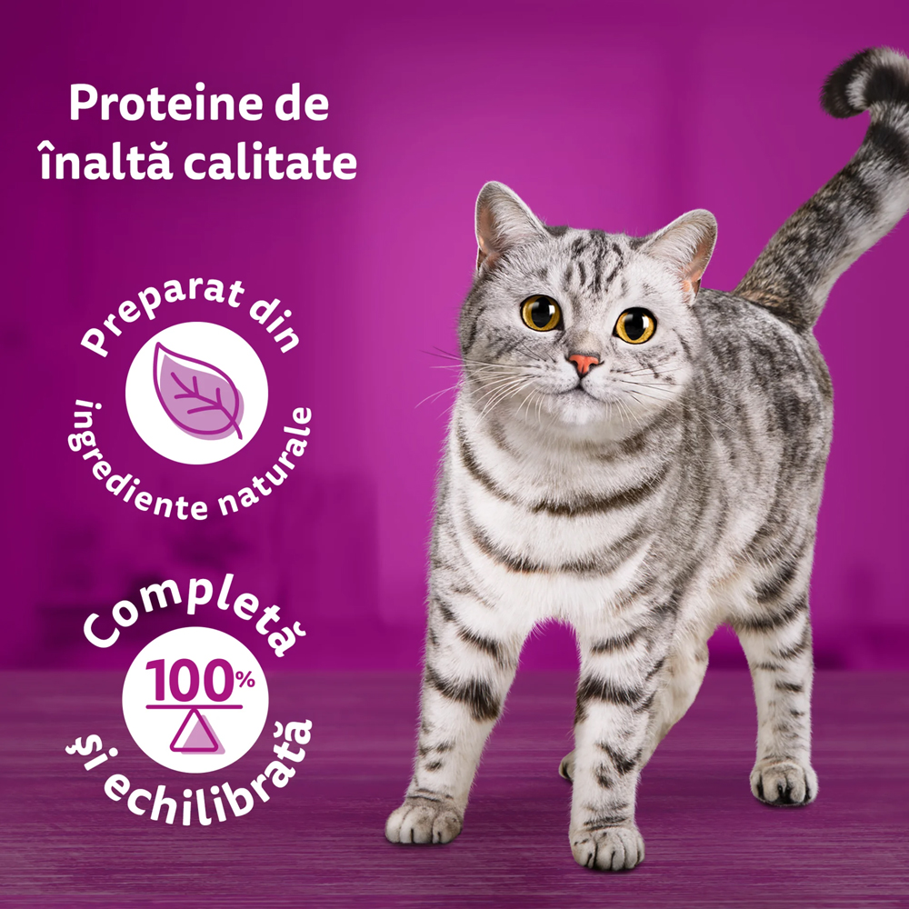 Hrana umeda pentru pisici WHISKAS Pure Delight, Adult, Pui in aspic, 85 g