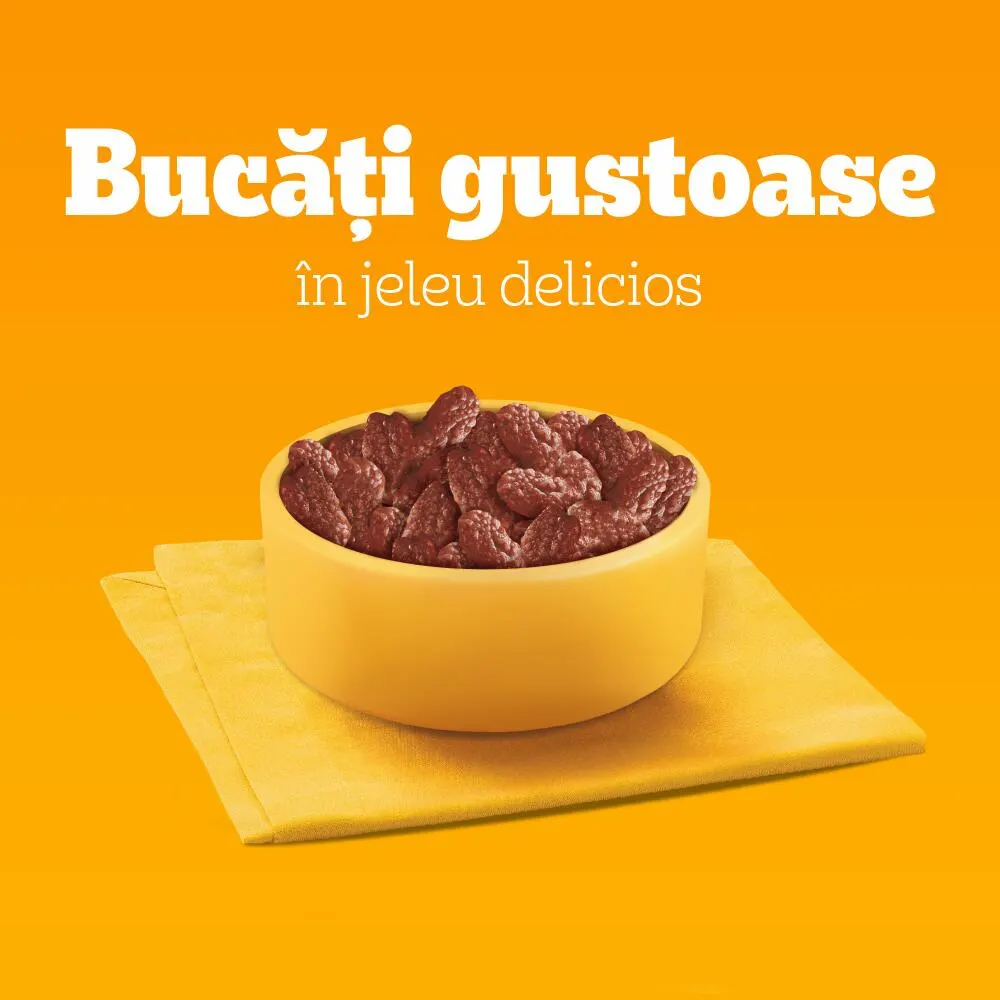Hrana umeda pentru caini PEDIGREE, Adult, Mix in sos cu morcovi, 4 x 100 g