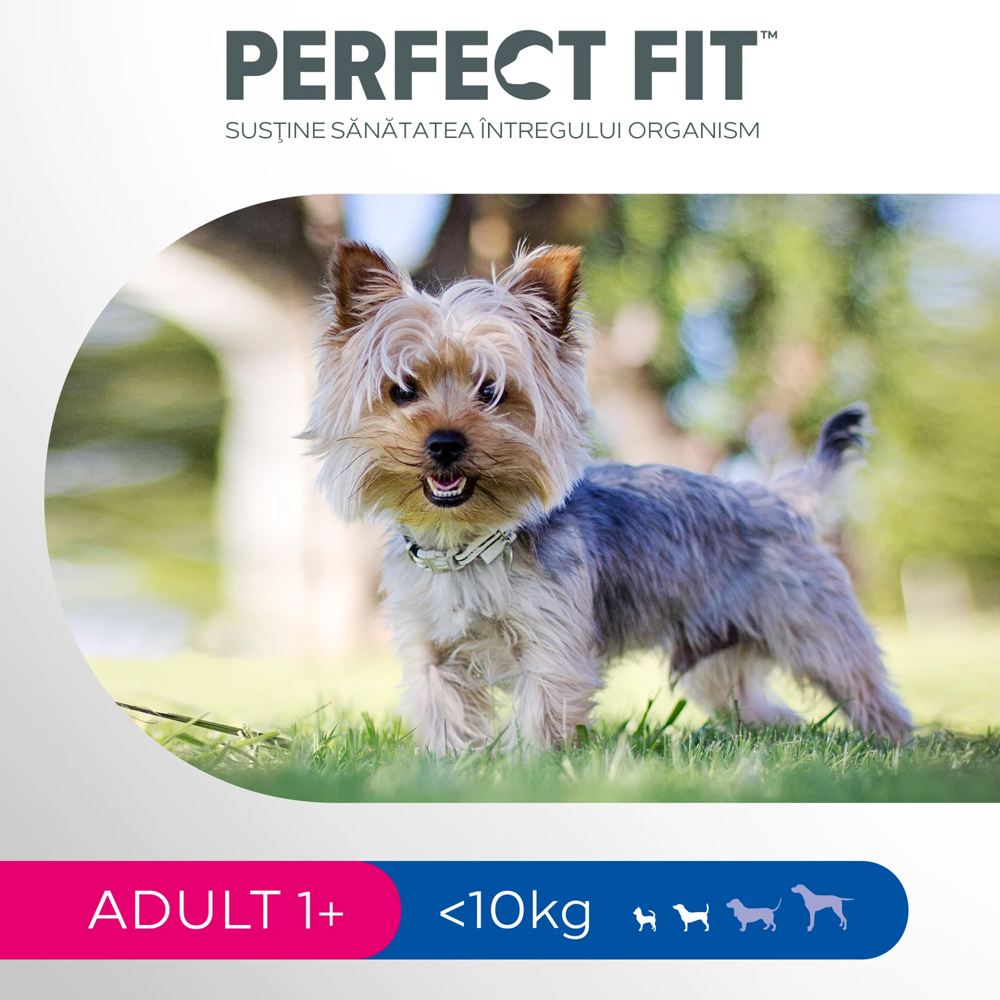 Hrana uscata pentru caini PERFECT FIT, Adult, Pui, 1.4 kg