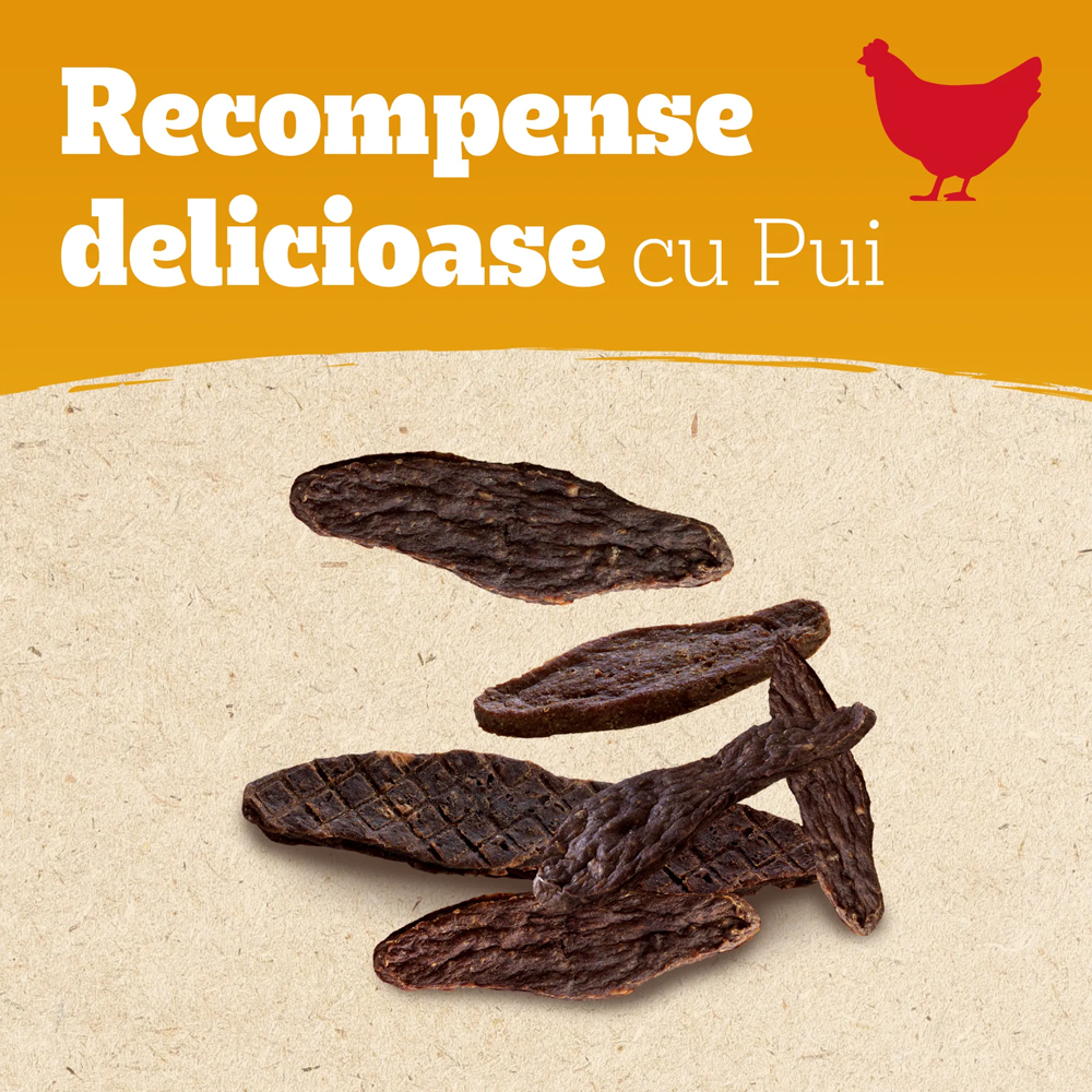 Recompense pentru caini PEDIGREE Ranchos Jerkies, Pui, 70 g