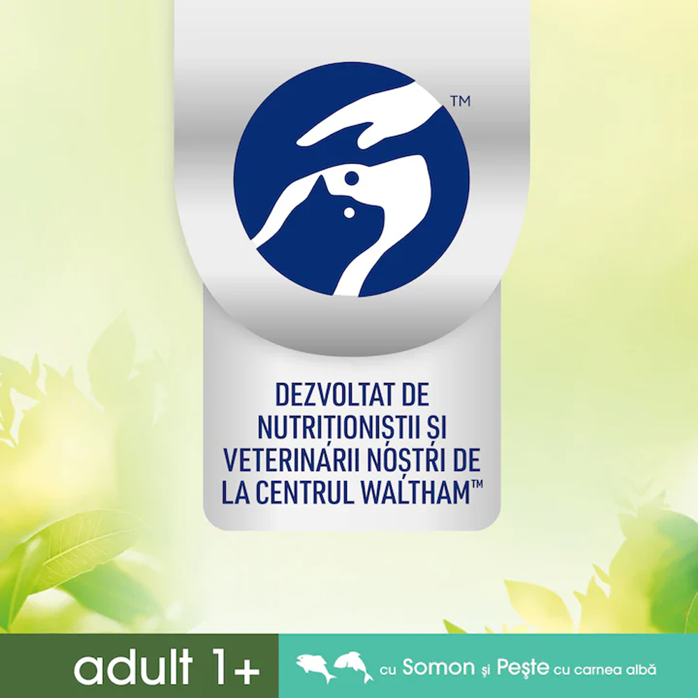 Hrana umeda pentru pisici PERFECT FIT Natural Vitality, Adult, Somon si peste, 650 g