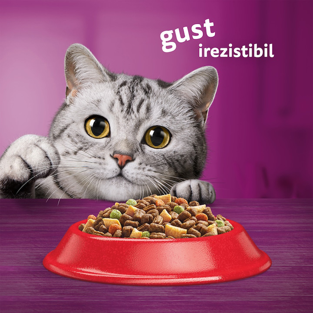 Hrana uscata pentru pisici WHISKAS, Adult, Vita, 3.8 kg
