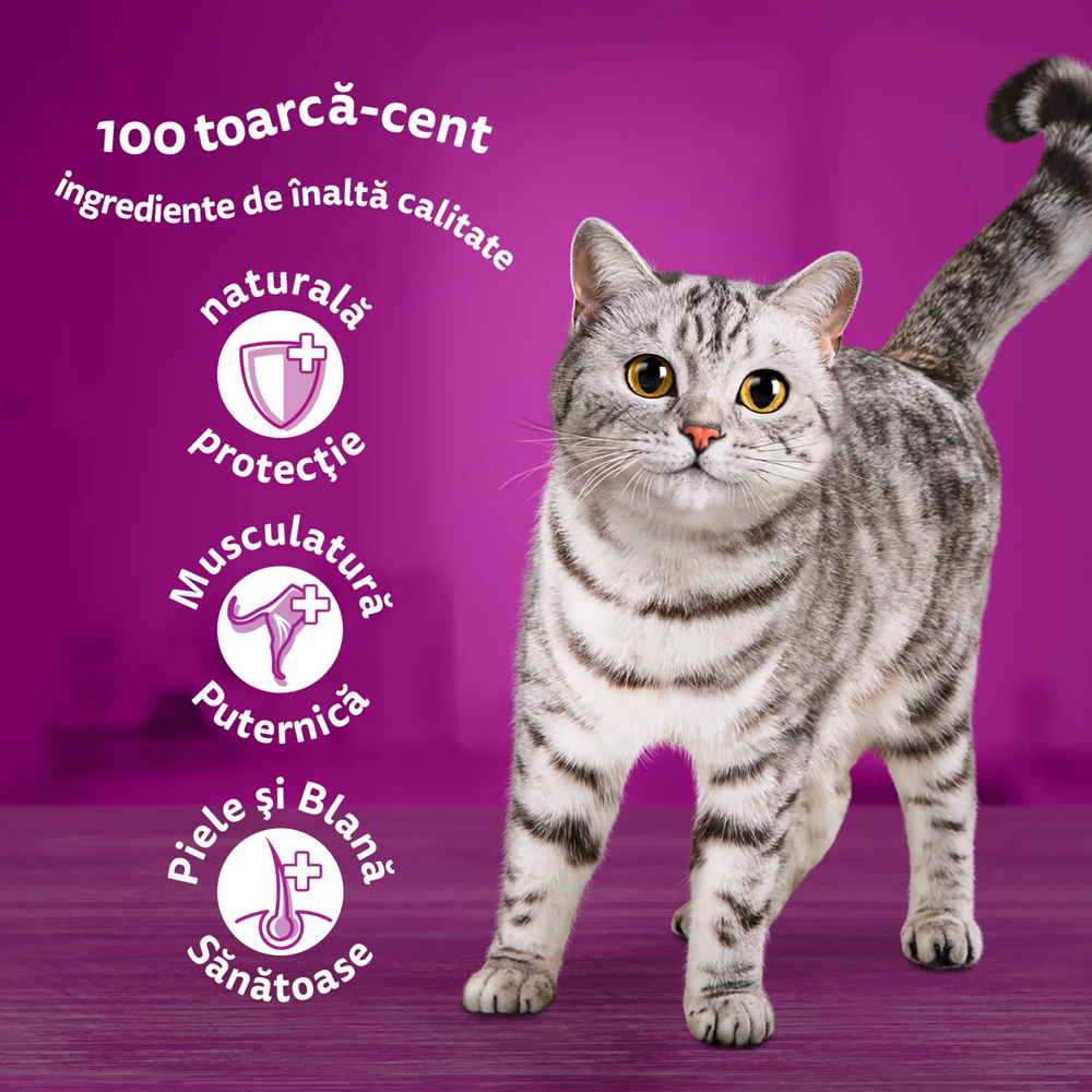 Hrana umeda pentru pisici WHISKAS, Adult, Somon in sos, 85 g