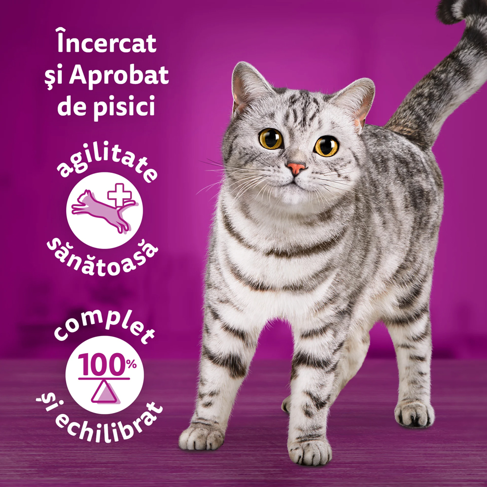 Hrana umeda pentru pisici WHISKAS, Adult, Mix in sos, 85 g