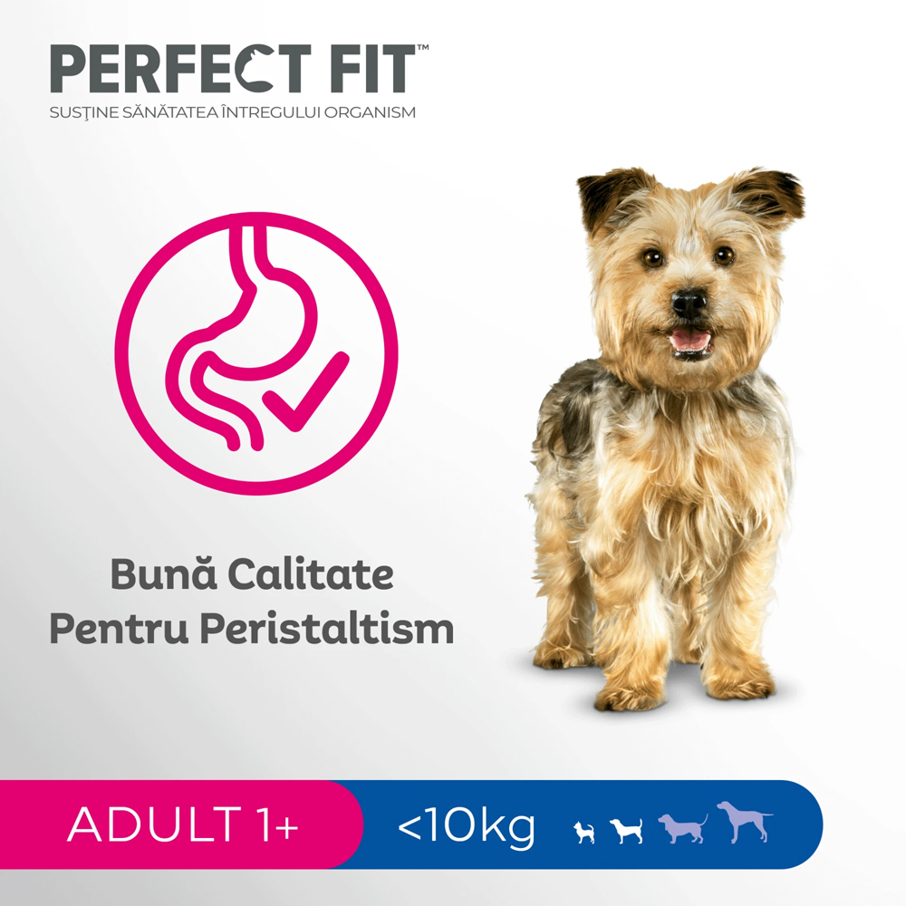 Hrana uscata pentru caini PERFECT FIT, Adult, Pui, 825 g