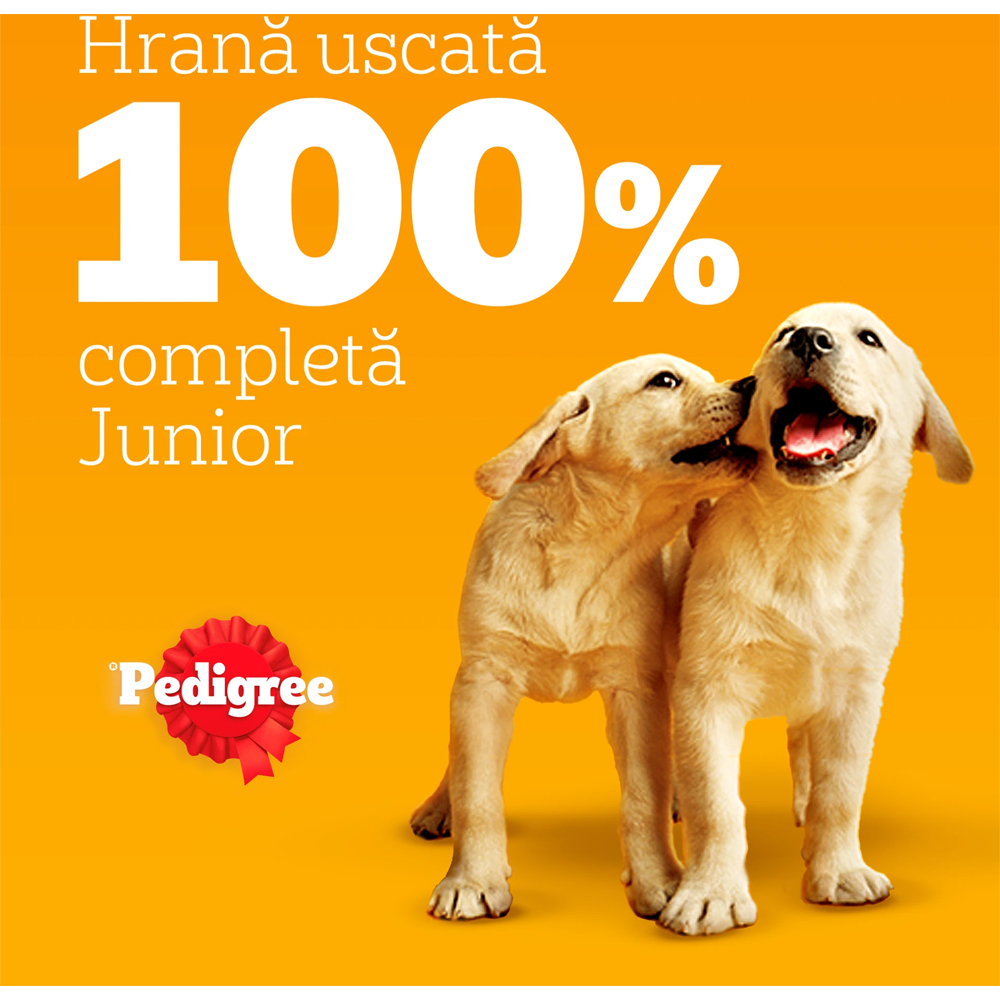 Hrana uscata pentru caini PEDIGREE, Junior, Pasare si Legume, 500 g