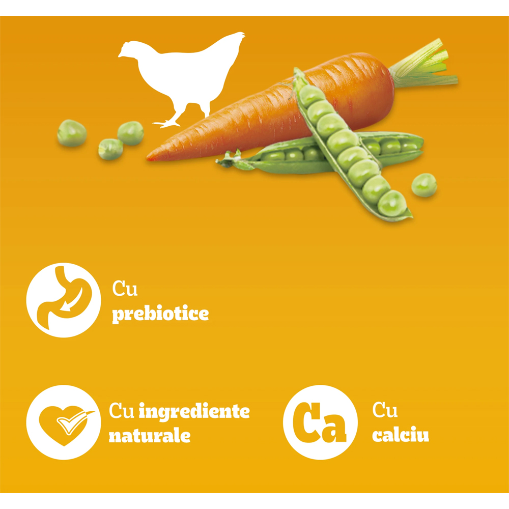 Hrana uscata pentru caini PEDIGREE, Junior, Pasare si Legume, 1.4 kg