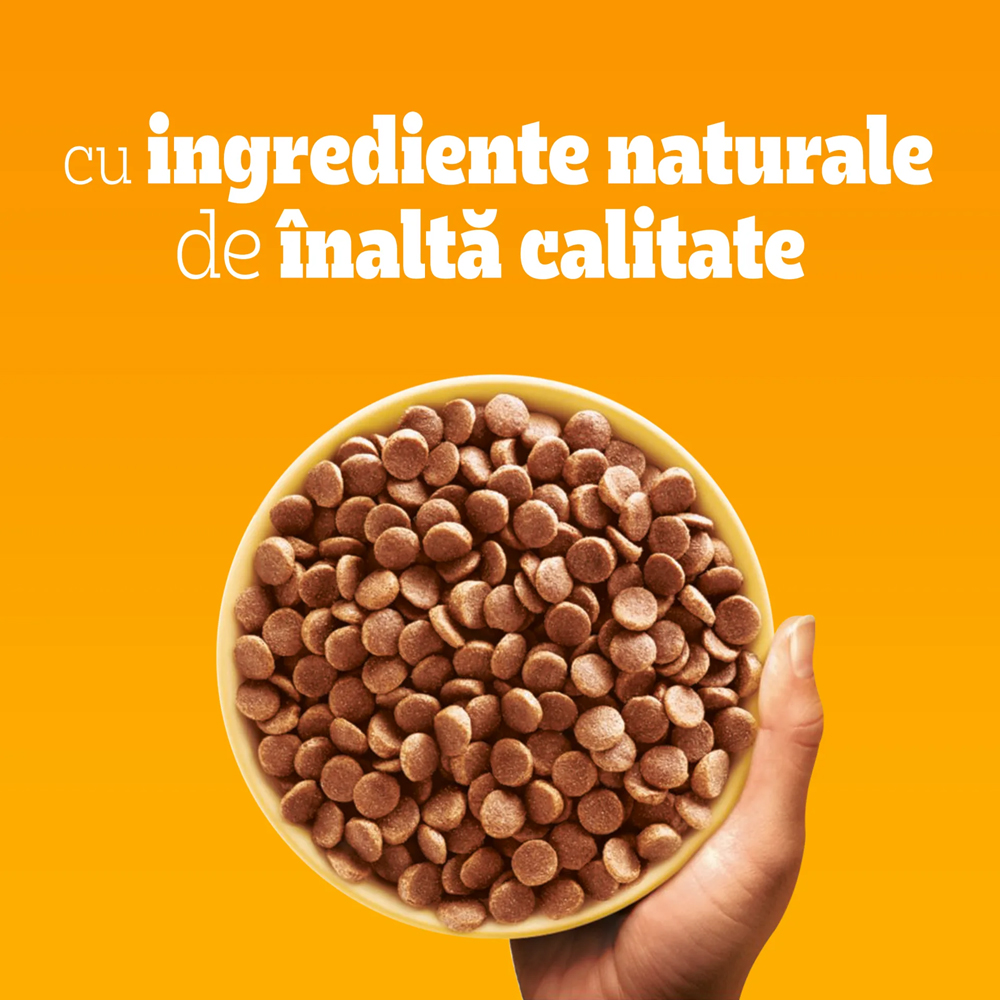 Hrana uscata pentru caini PEDIGREE, Adult, Pasare si Legume, 500 g