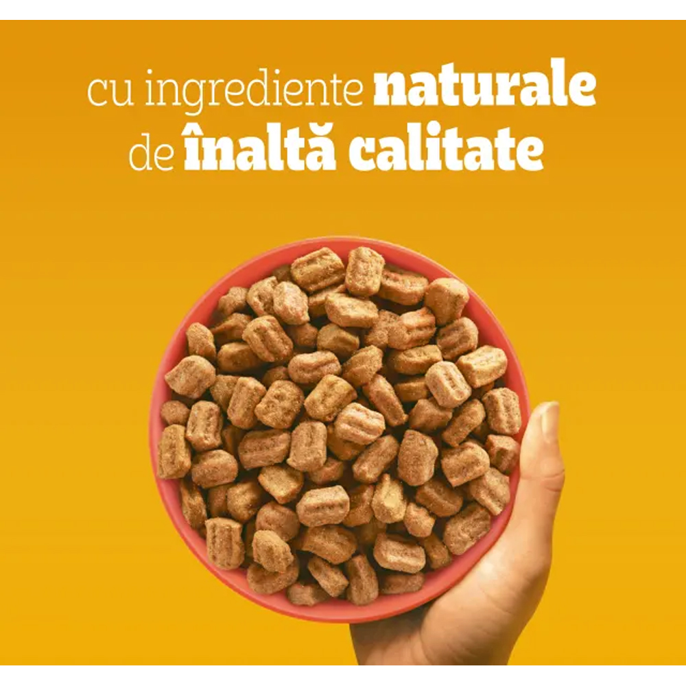 Hrana uscata pentru caini PEDIGREE, Adult, Vita si Legume, 500 g