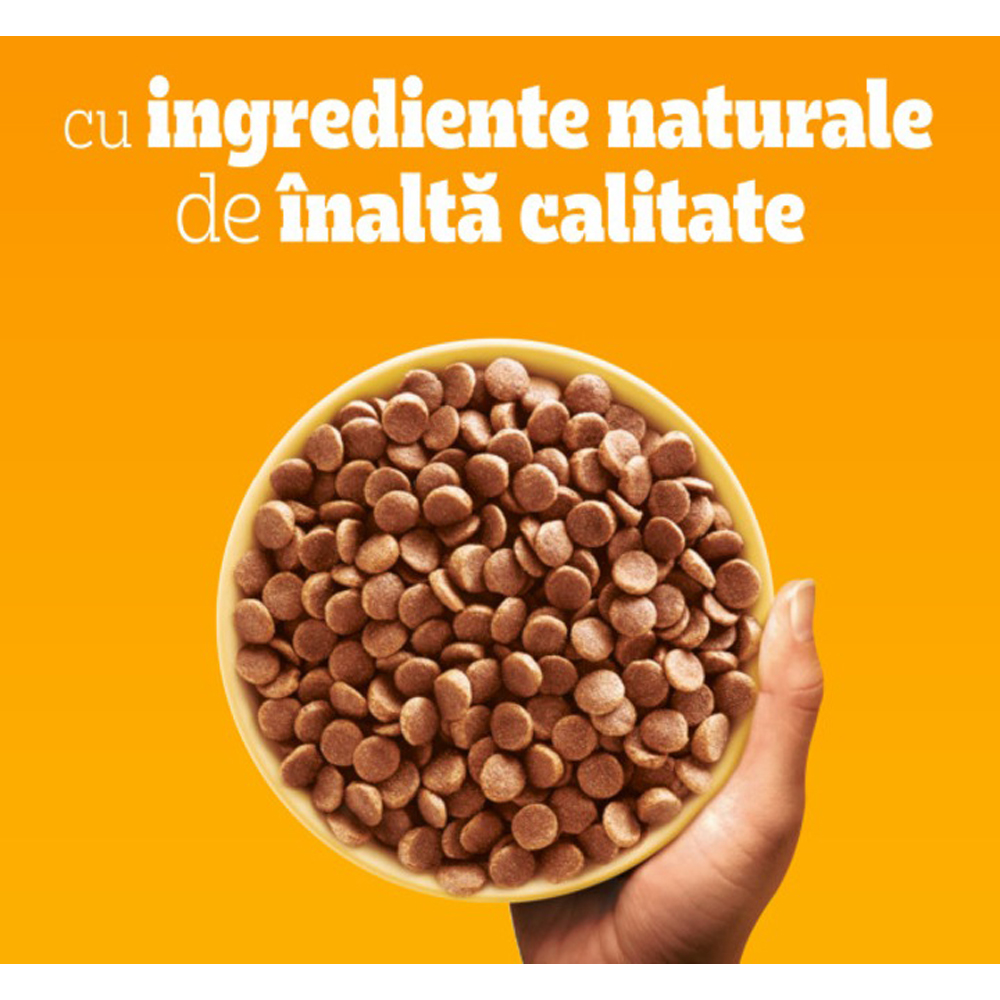 Hrana uscata pentru caini PEDIGREE, Adult, Pasare si Legume, 2 kg