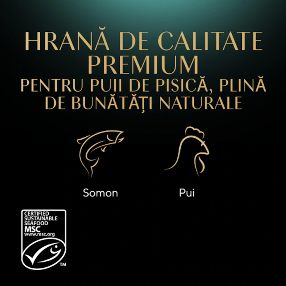 Hrana umeda pentru pisici SHEBA, Junior, Mix in sos, 4 x 85 g