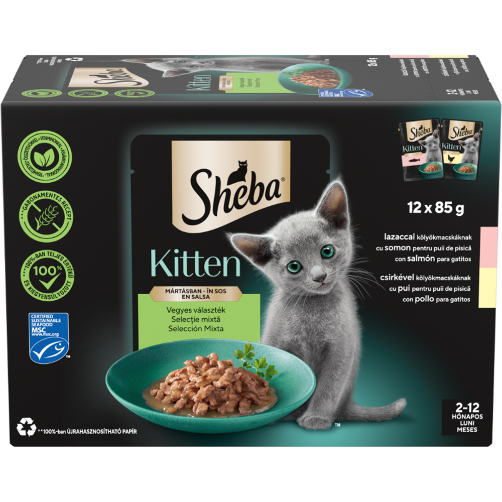 Hrana umeda pentru pisici SHEBA, Junior, Somon si pui in sos, 12 x 85 g