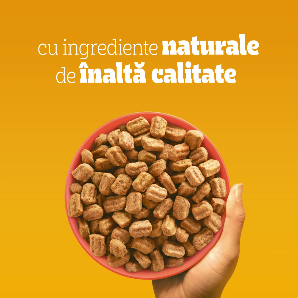 Hrana uscata pentru caini PEDIGREE, Adult, Vita si legume, 10 kg