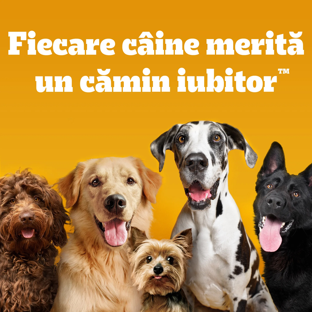 Hrana uscata pentru caini PEDIGREE, Adult, Vita si legume, 10 kg