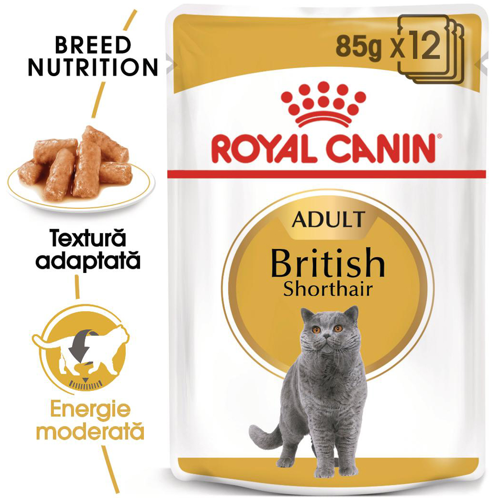 Hrana umeda pentru pisici ROYAL CANIN British Shorthair, Adult, Peste in sos, 85 g