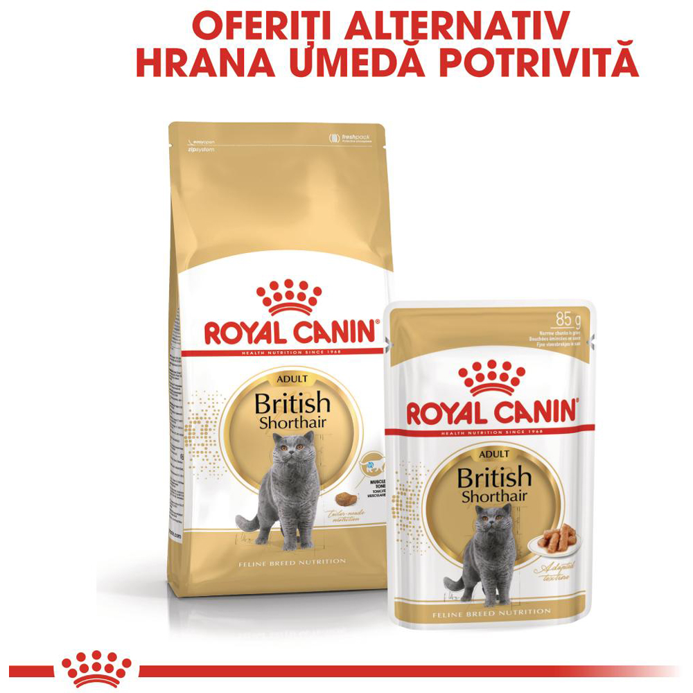 Hrana umeda pentru pisici ROYAL CANIN British Shorthair, Adult, Peste in sos, 85 g