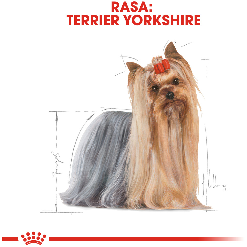 Hrana umeda pentru caini ROYAL CANIN BHN Yorkshire, Adult, 85 g