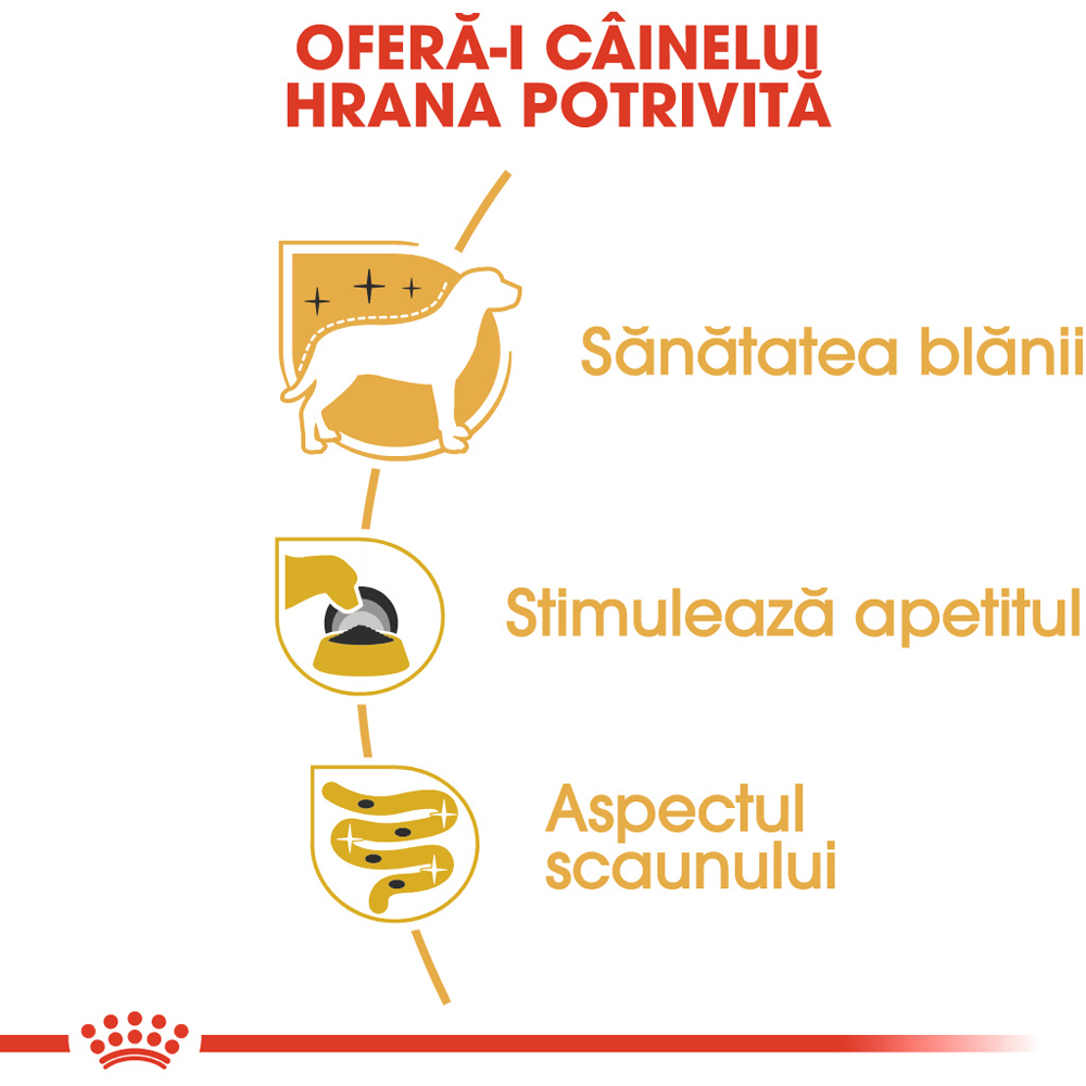 Hrana umeda pentru caini ROYAL CANIN BHN Yorkshire, Adult, 85 g