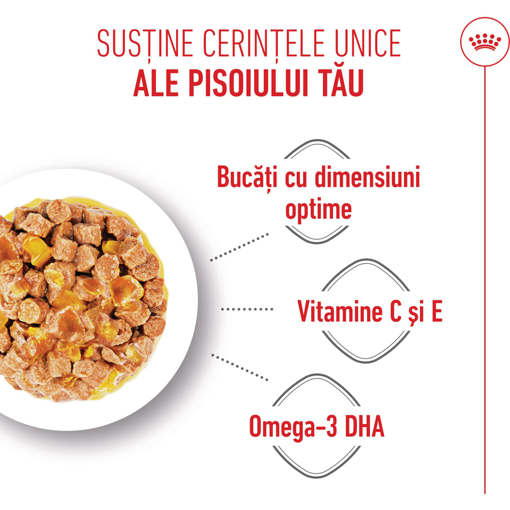 Hrana umeda pentru pisici ROYAL CANIN FHN Jelly, Adult, 85 g
