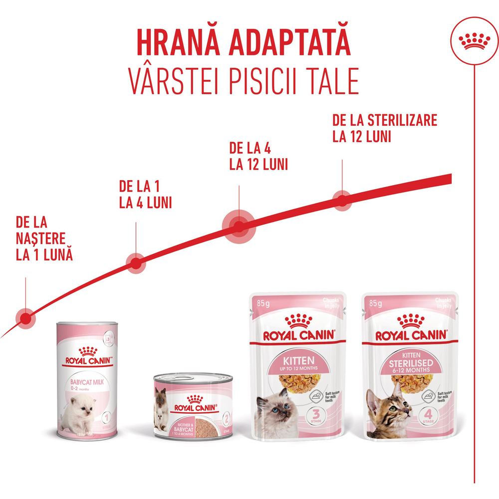 Hrana umeda pentru pisici ROYAL CANIN FHN Jelly, Adult, 85 g