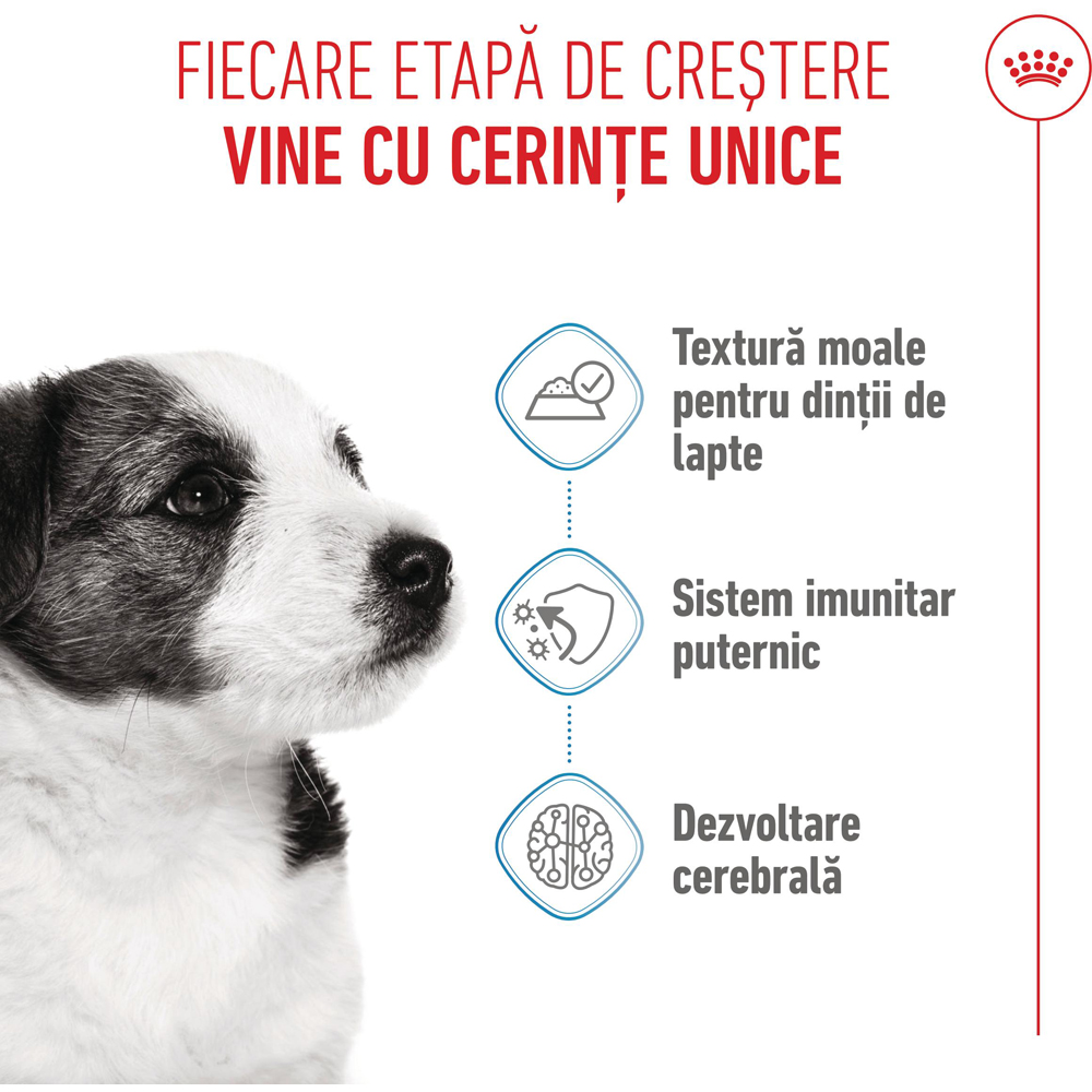 Hrana umeda pentru caini ROYAL CANIN SHN Mini Gravy, Junior, 85 g